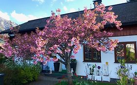 Haus Belli